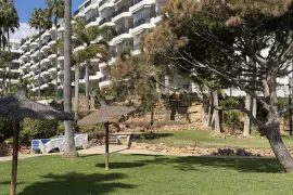 Image 18 thumb