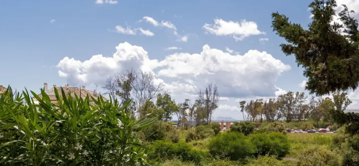 Sale of ground floor apartment in Estepona 2