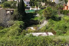 Image 5 thumb