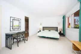 Image 13 thumb