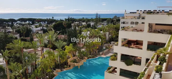 Short-term rent of penthouse in Marbella 0