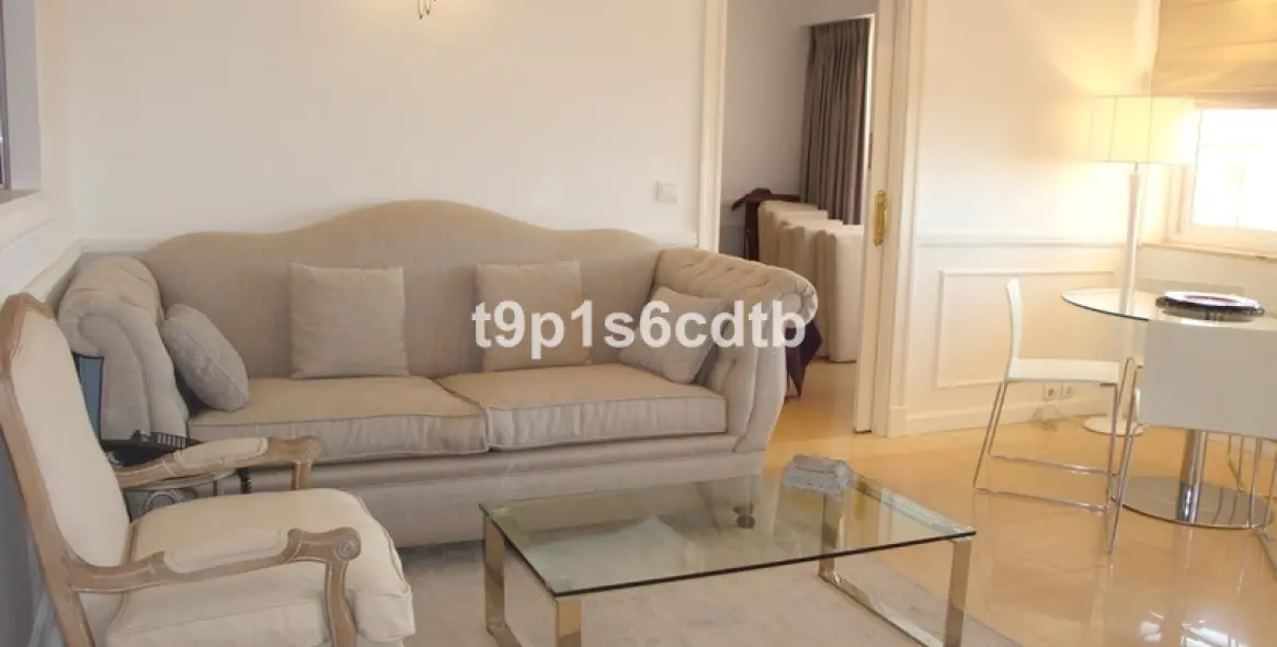 Short-term rent of penthouse in Marbella 5