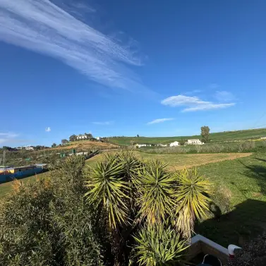 Venta de finca - cortijo en Coín