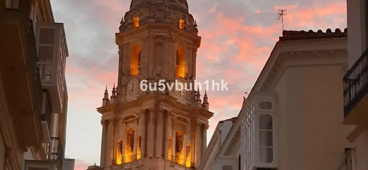 Venta de otros en Malaga 3