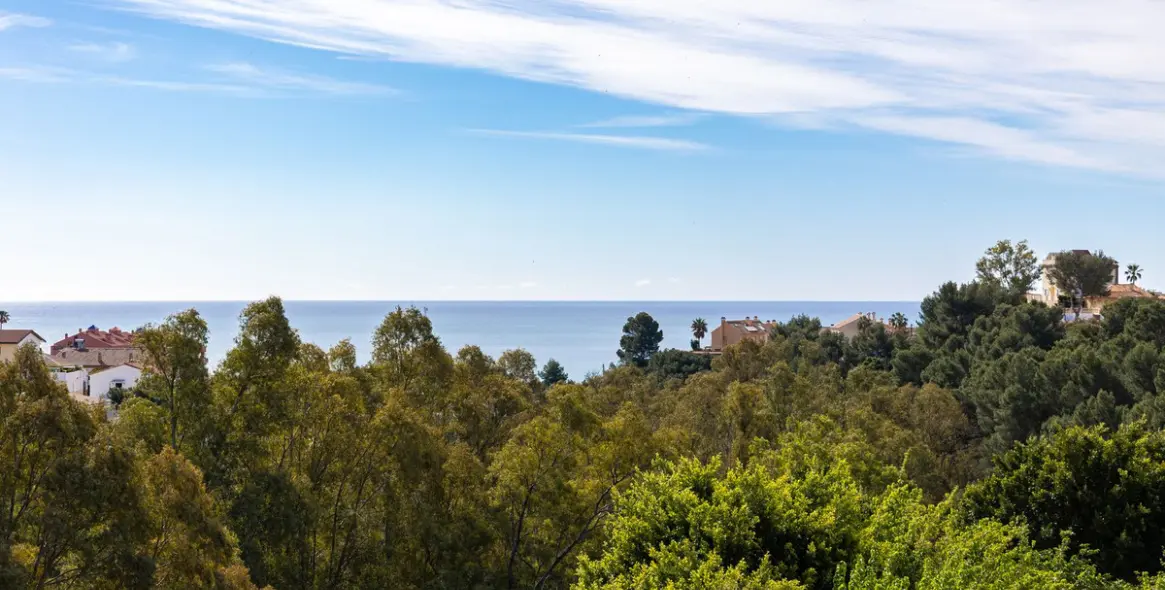 Sale of ground floor apartment in Torreblanca 5