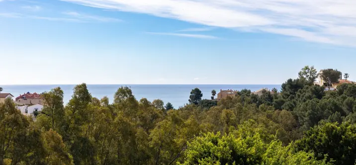 Sale of ground floor apartment in Torreblanca 4