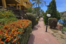 Image 7 thumb