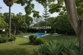 Image 4 thumb