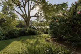 Image 12 thumb