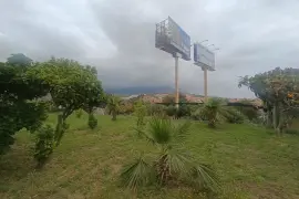 Image 4 thumb