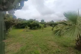 Image 5 thumb