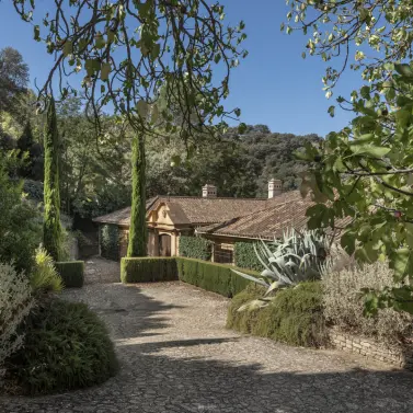 Sale of finca - cortijo in Ronda