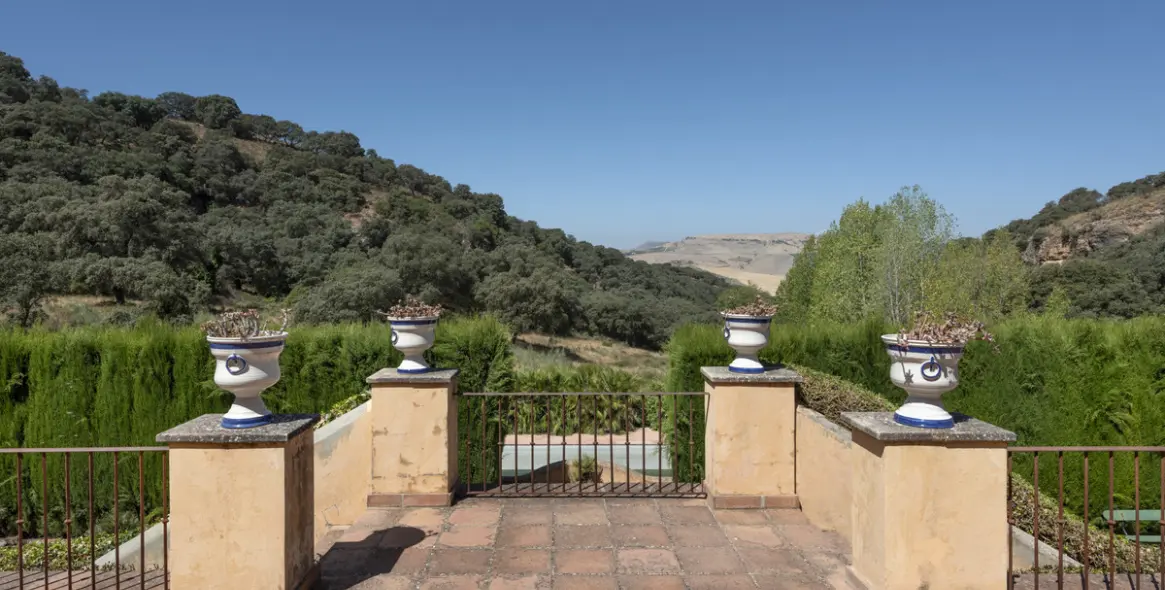 Sale of finca - cortijo in Ronda 17
