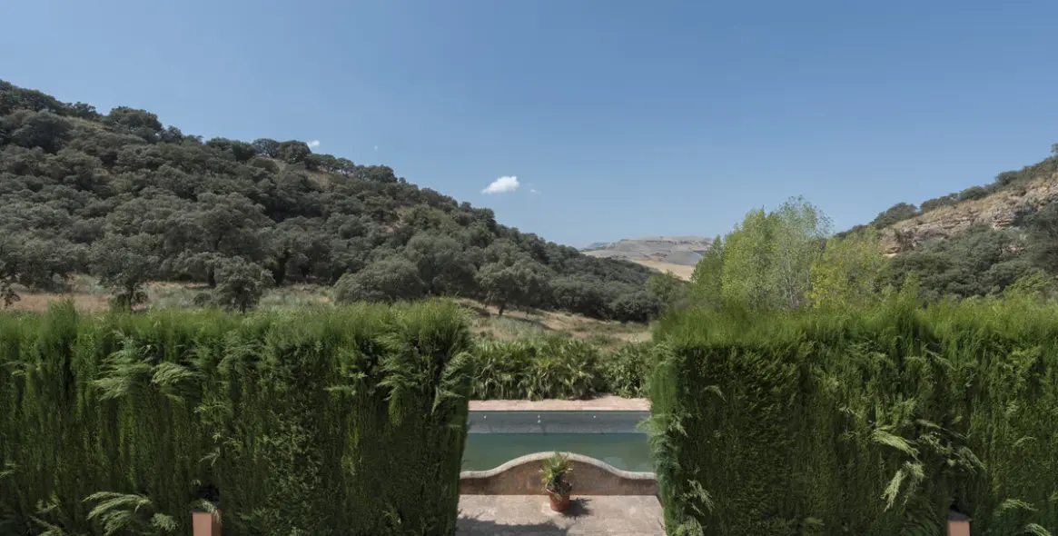 Sale of finca - cortijo in Ronda 19