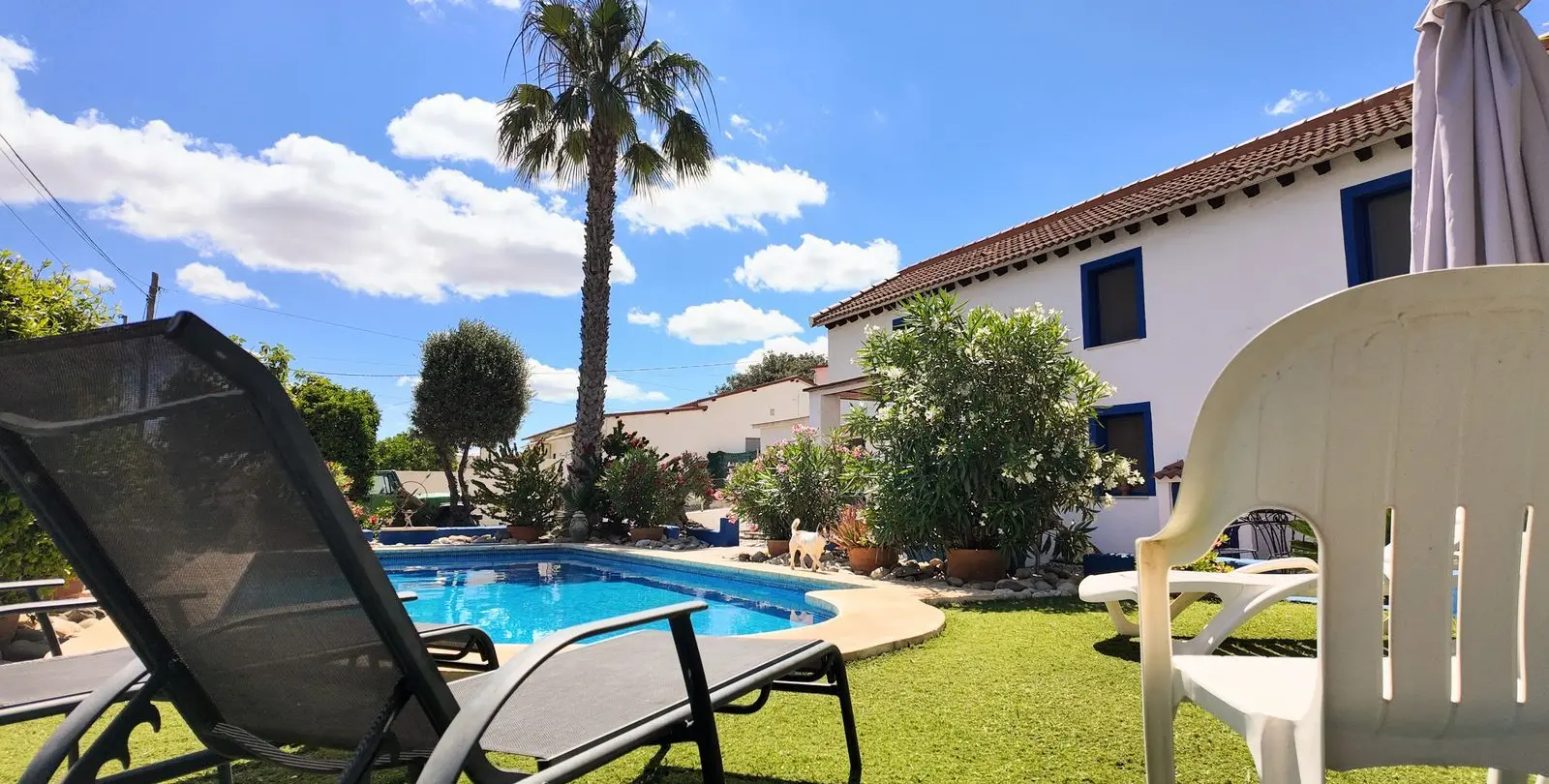 Venta de finca - cortijo en Alora 10