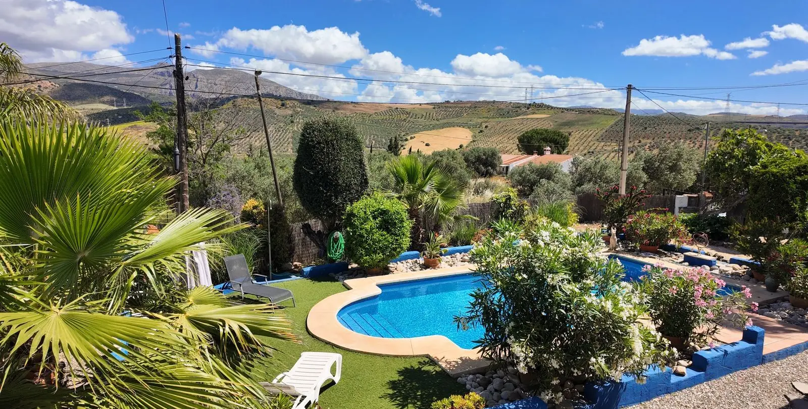Venta de finca - cortijo en Alora 11