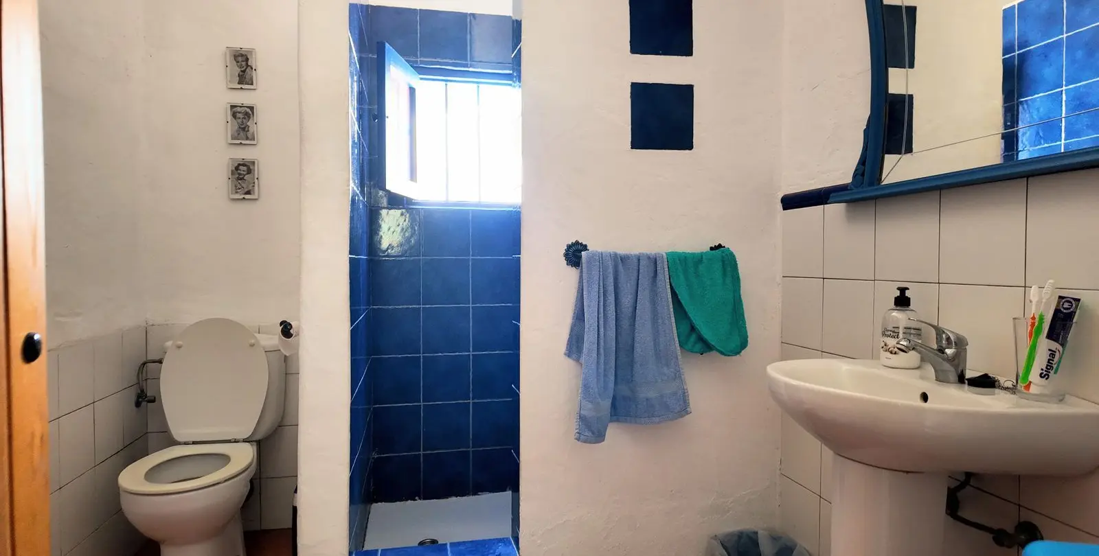 Venta de finca - cortijo en Alora 33
