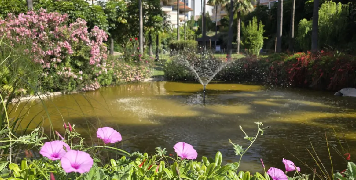 Sale of middle floor apartment in Higueron 25