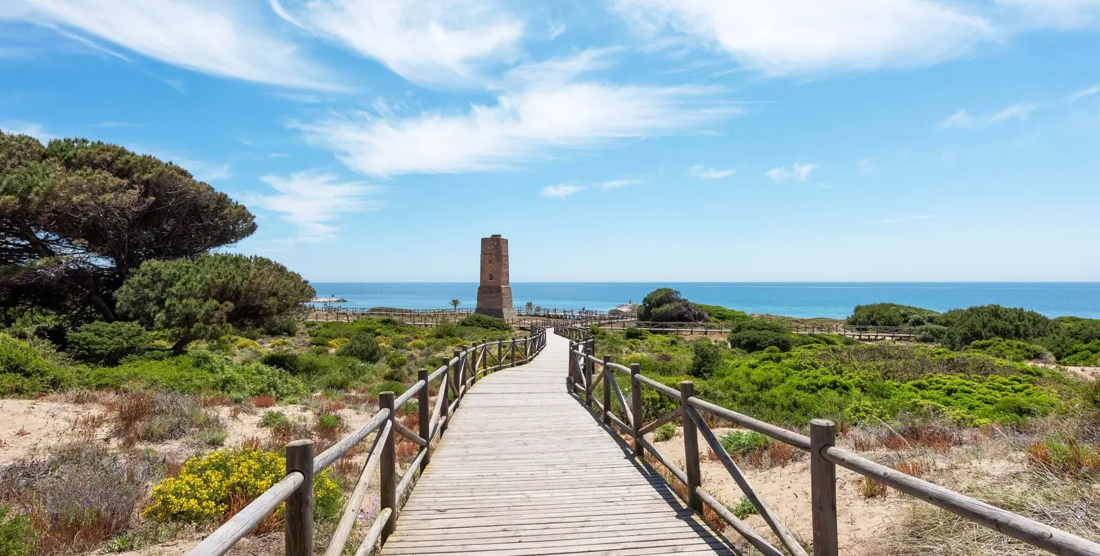 Venta de apartamento en planta baja en Artola 33