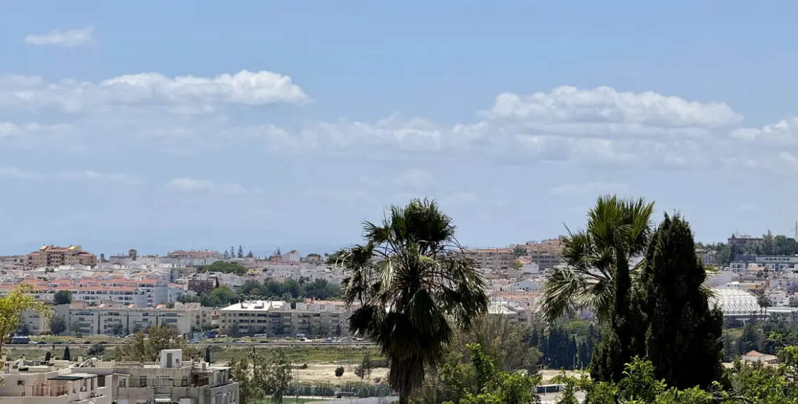 Продажа  отдельно стоящей виллы в Nueva Andalucía 22