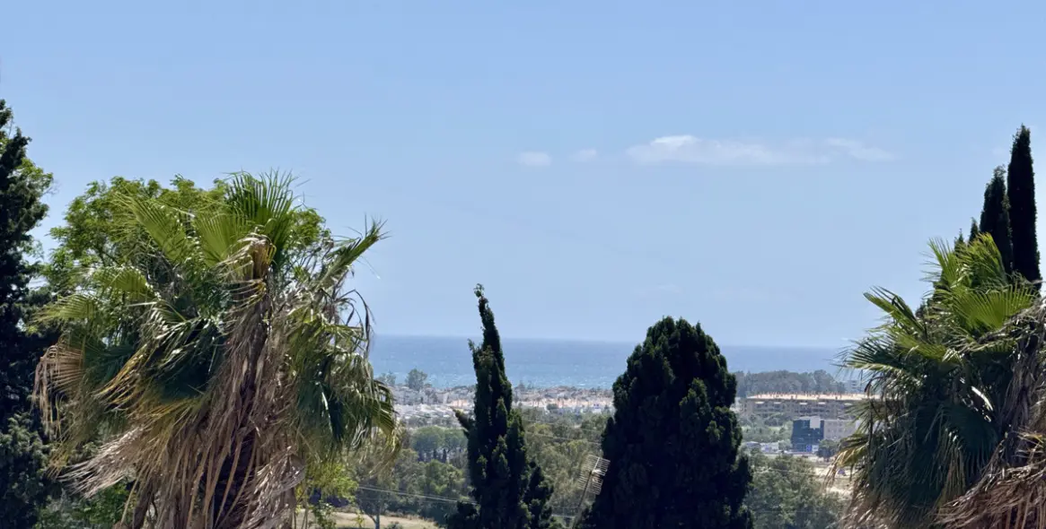 Продажа  отдельно стоящей виллы в Nueva Andalucía 26