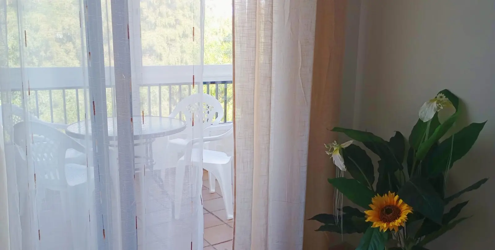 Sale of middle floor apartment in La Duquesa 10