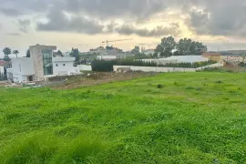 Image 4 thumb
