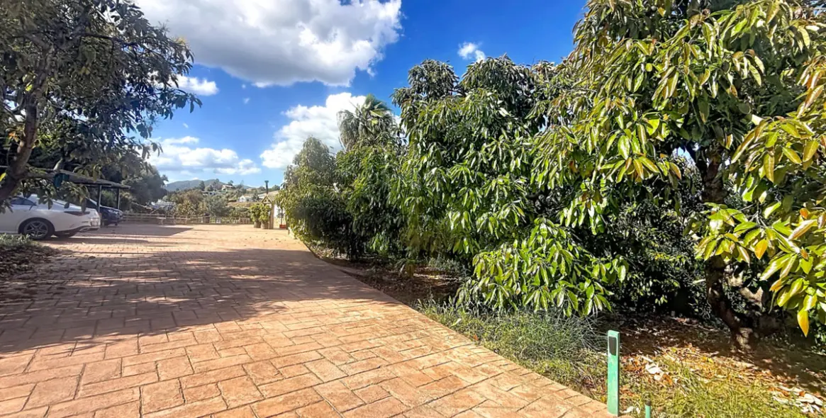 Sale of finca - cortijo in Estepona 55