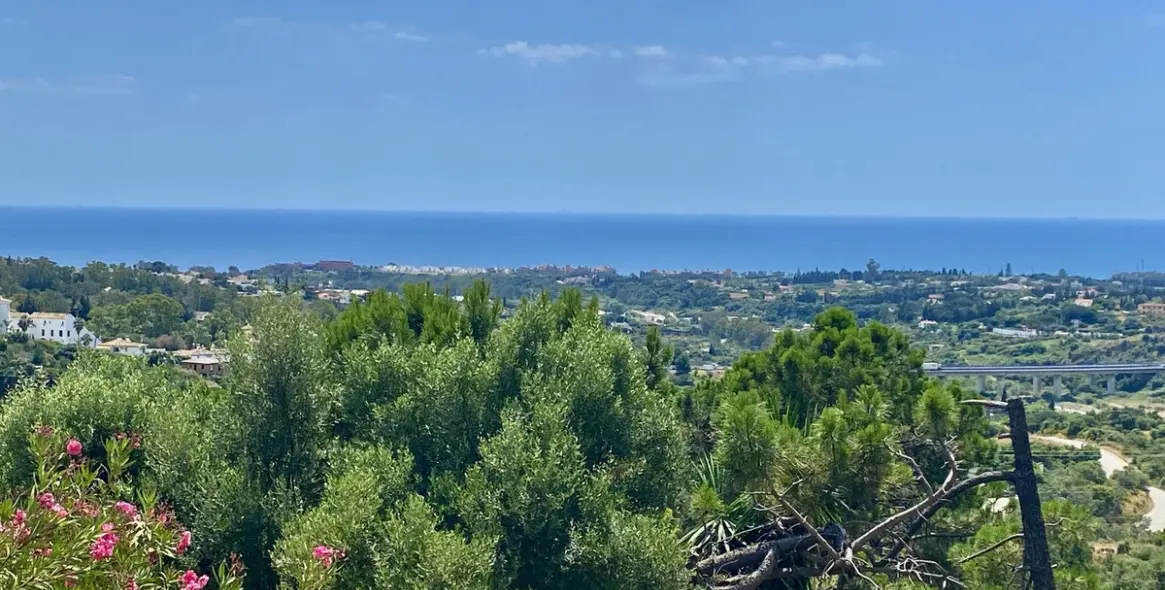 Sale of detached villa in El Padron 22