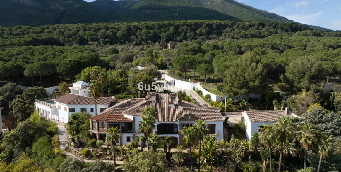 Sale of detached villa in Alhaurin el Grande 3