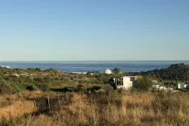 Image 4 thumb