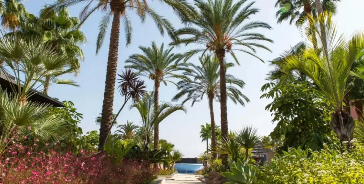 Long-term rent of ground floor apartment in Estepona 28