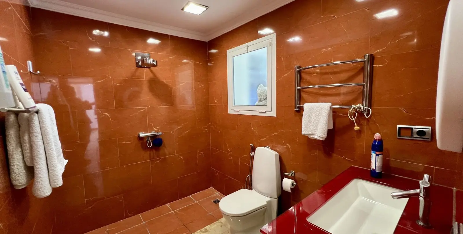 Sale of detached villa in El Chaparral 47