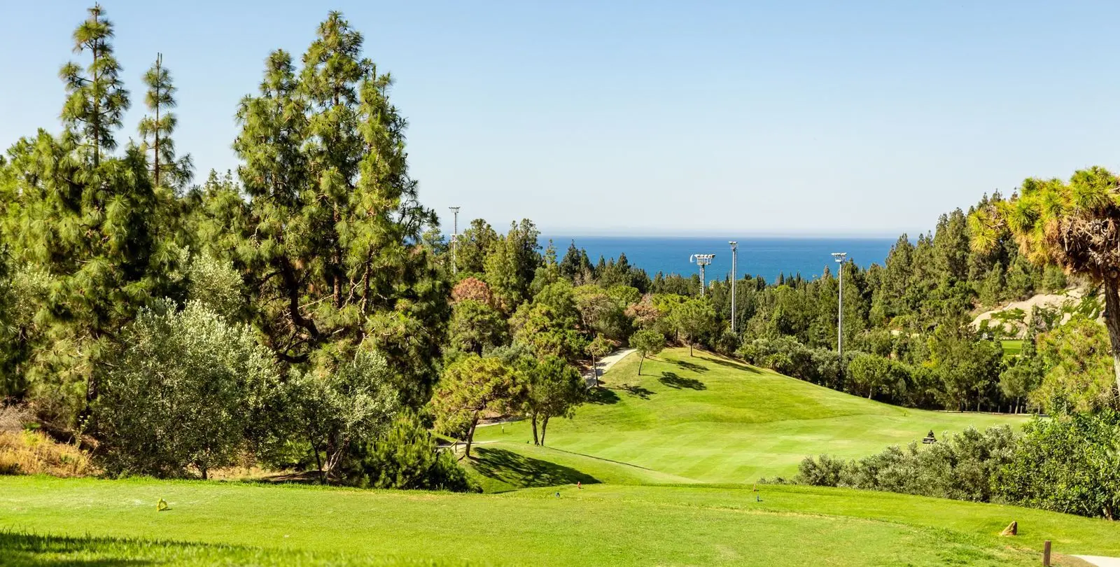 Sale of detached villa in El Chaparral 60