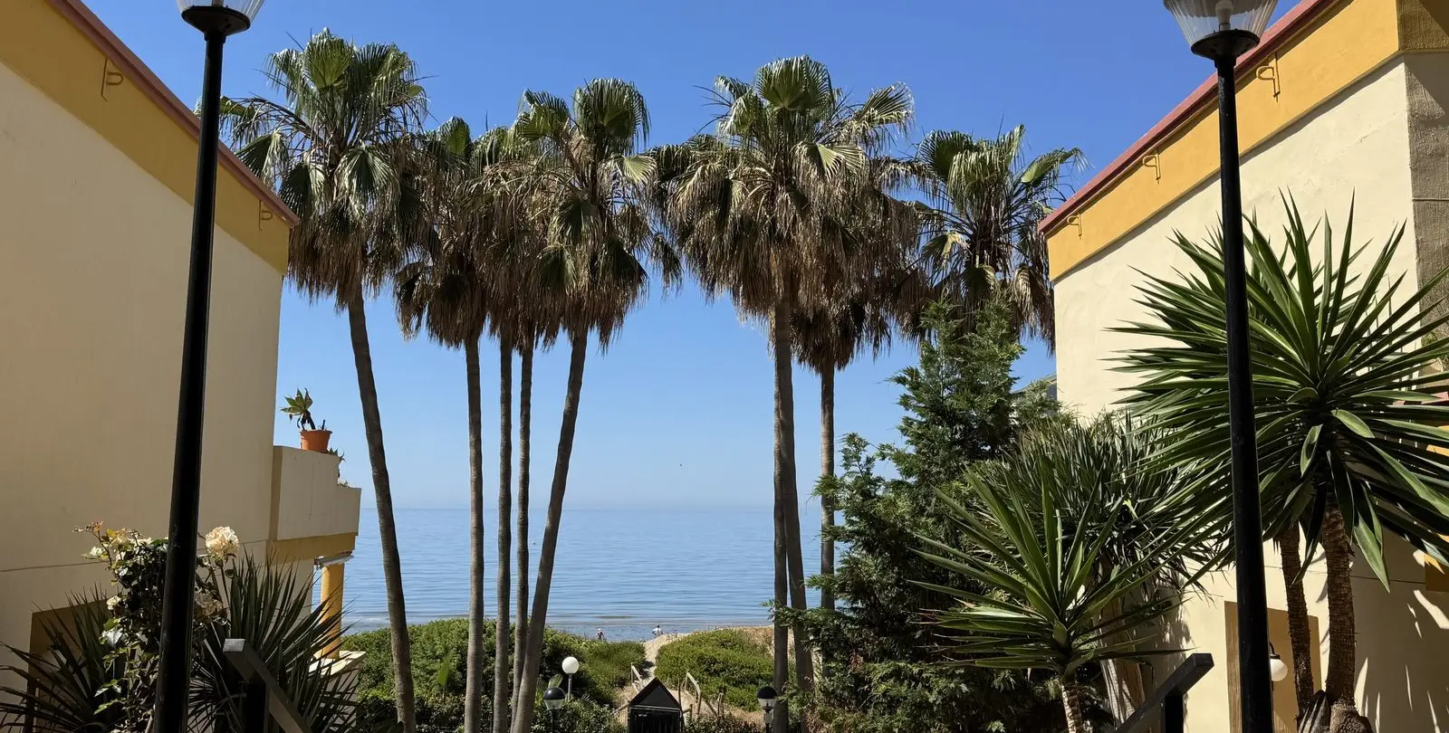 Sale of studio in Elviria 15