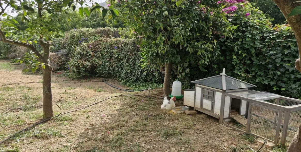 Sale of finca - cortijo in Coín 36