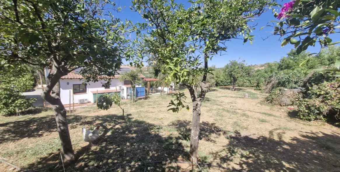 Sale of finca - cortijo in Coín 37