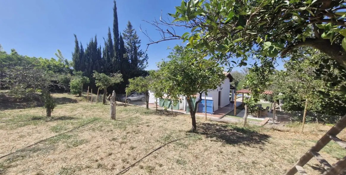 Sale of finca - cortijo in Coín 39