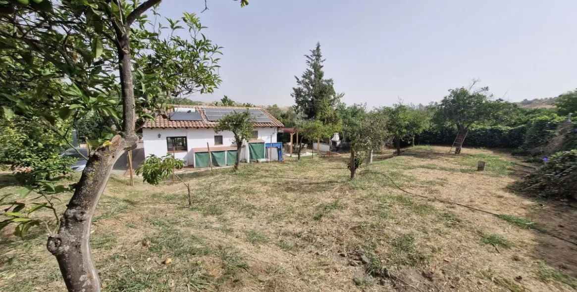Sale of finca - cortijo in Coín 41