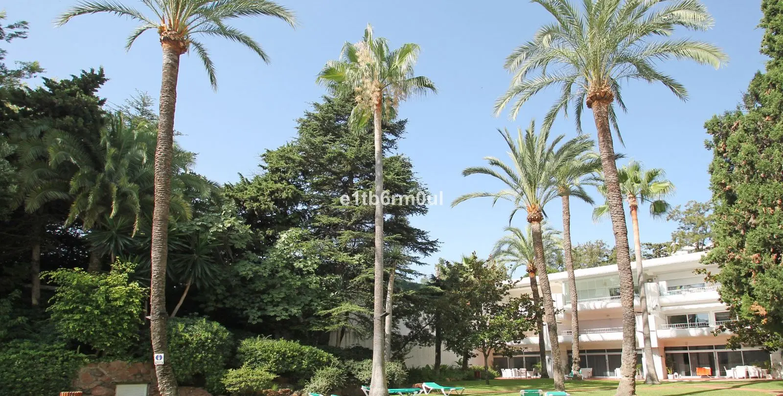 Sale of middle floor apartment in The Golden Mile 17