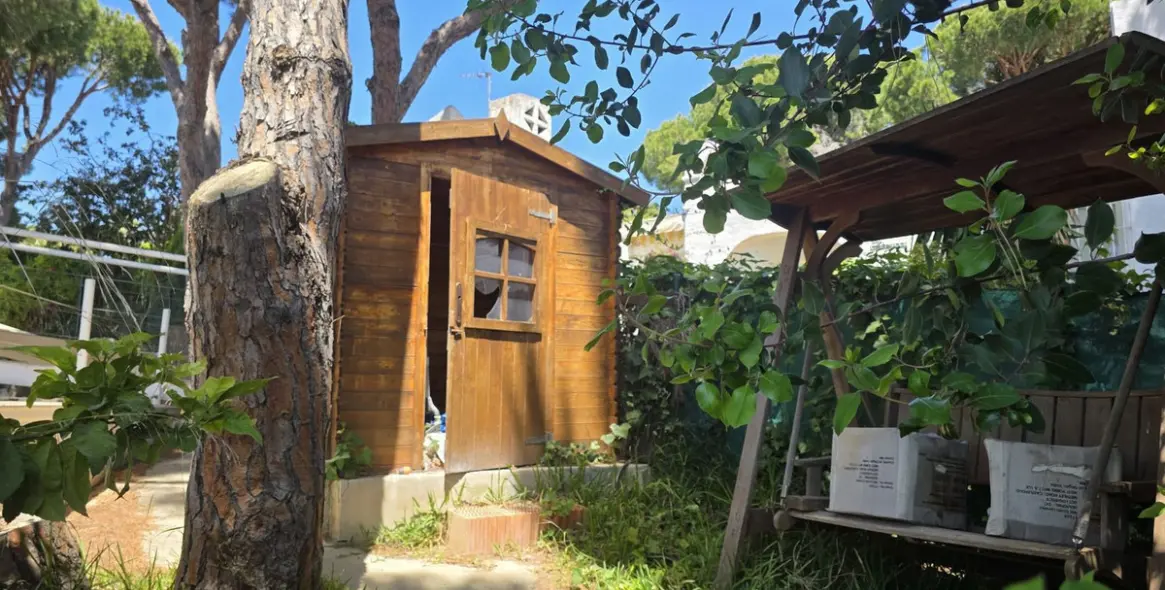 Продажа  отдельно стоящей виллы в Hacienda Las Chapas 35