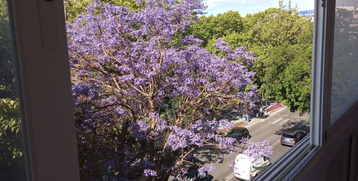 Sale of middle floor apartment in Marbella 18
