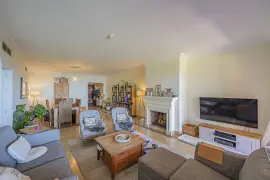 Image 4 thumb