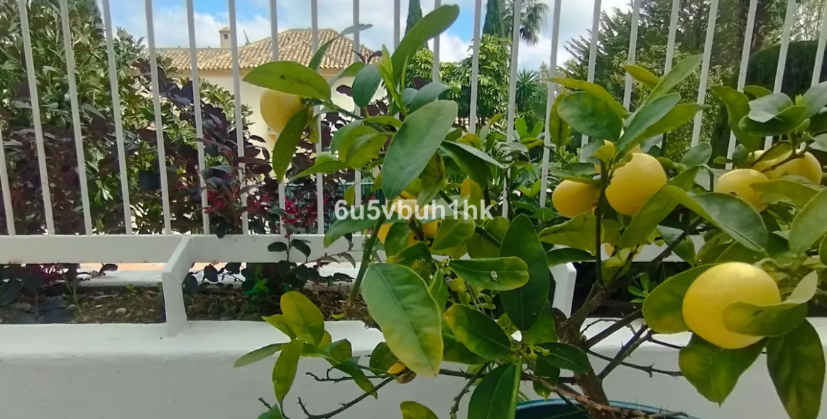 Venta de dúplex en Marbella 7