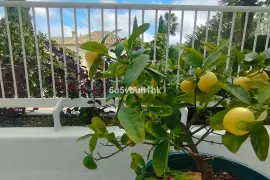 Image 7 thumb
