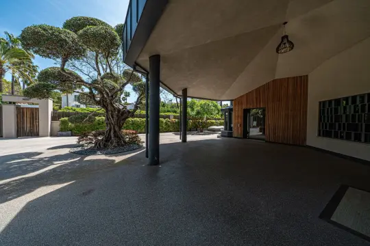 Image 7 thumb