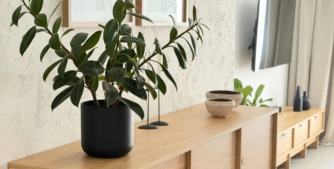 Sale of ground floor apartment in Casares 24