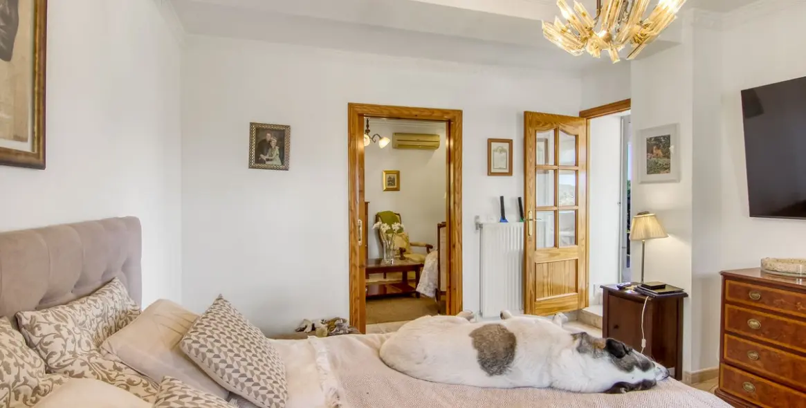 Sale of finca - cortijo in Canillas de Albaida 34