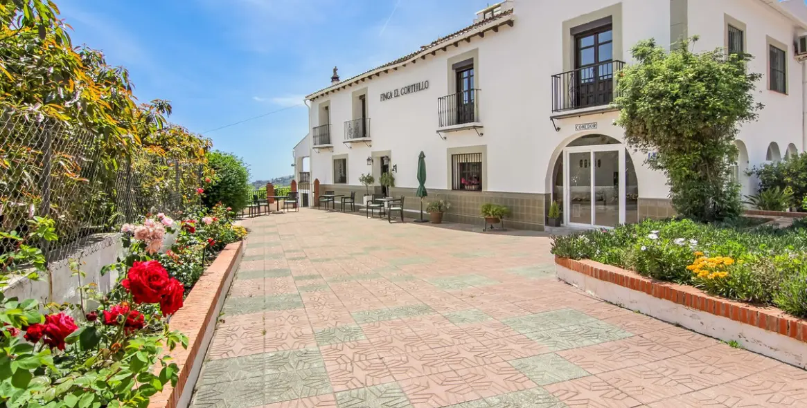 Sale of finca - cortijo in Canillas de Albaida 73