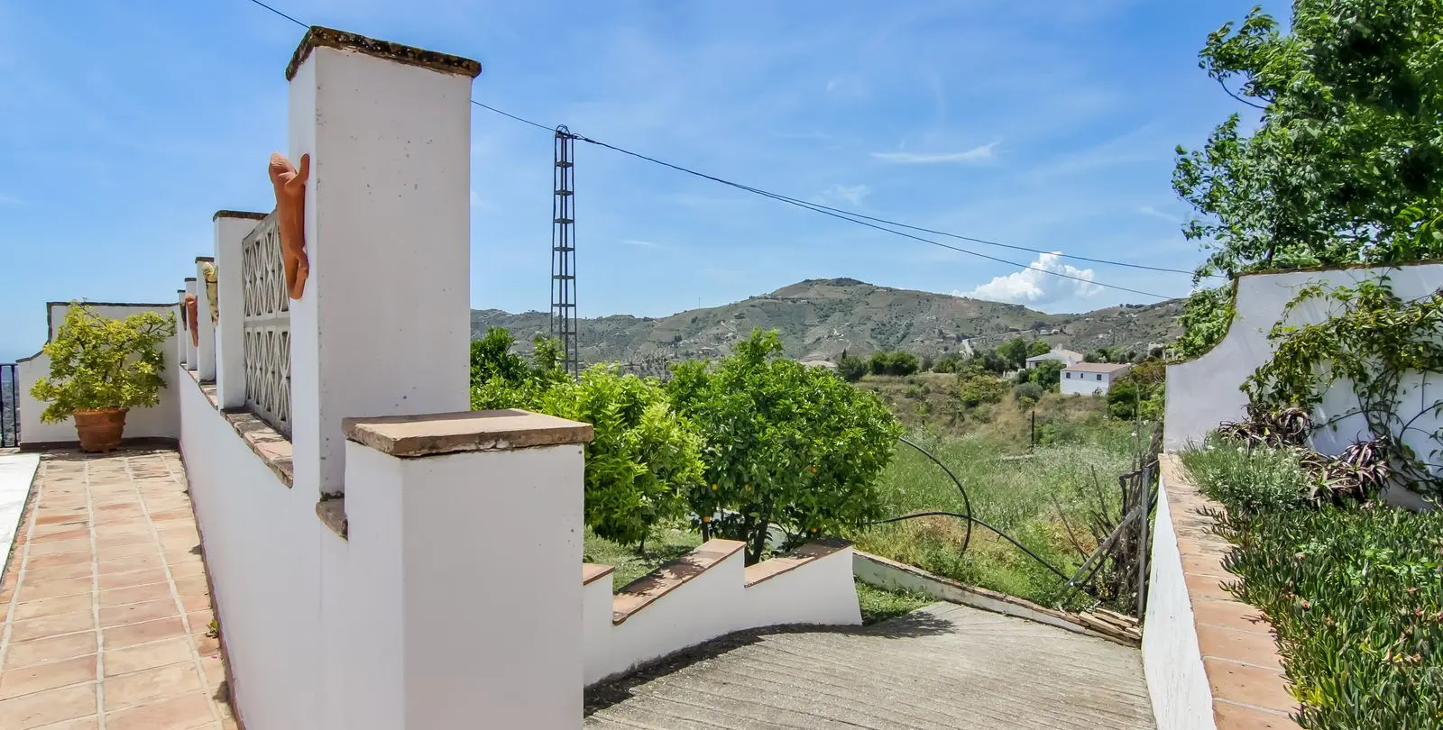 Venta de finca - cortijo en Canillas de Albaida 66